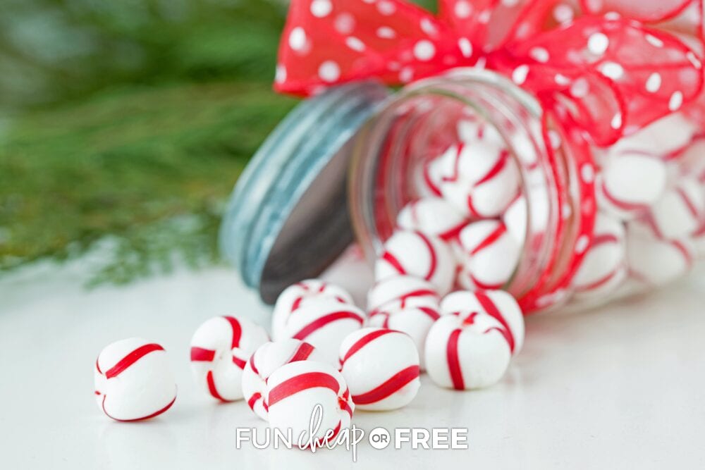 Soft peppermints on a counter, from Fun Cheap or Free