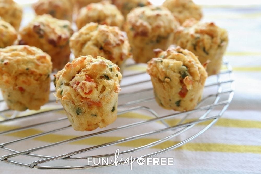 bacon and cheese mini quiche, from Fun Cheap or Free