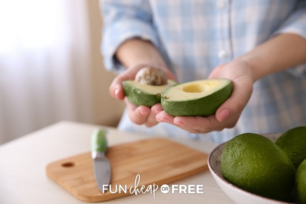 woman slicing an avocado, from Fun Cheap or Free