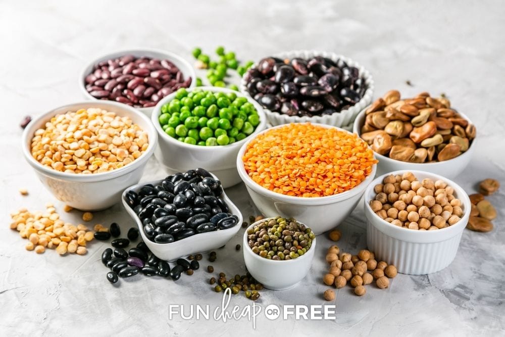 dry beans in bulk, from Fun Cheap or Free