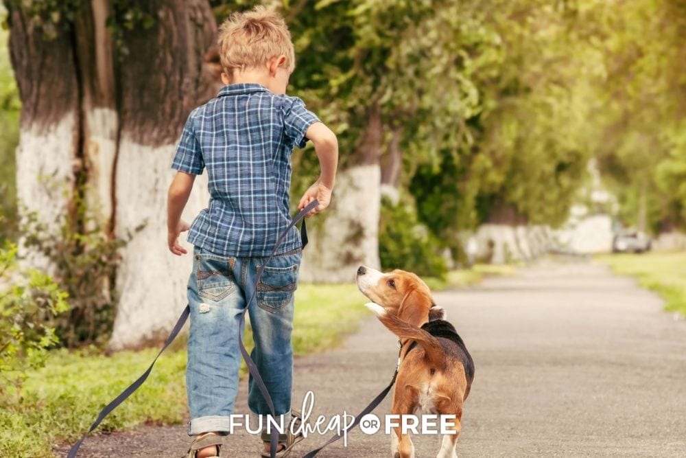 little boy walking dog, from Fun Cheap or Free