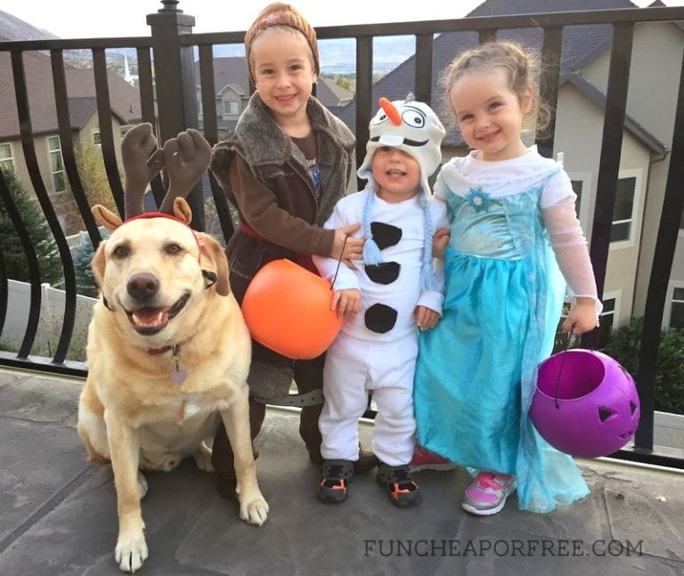 DIY Frozen Costume NoSew Halloween Costumes Fun Cheap or Free