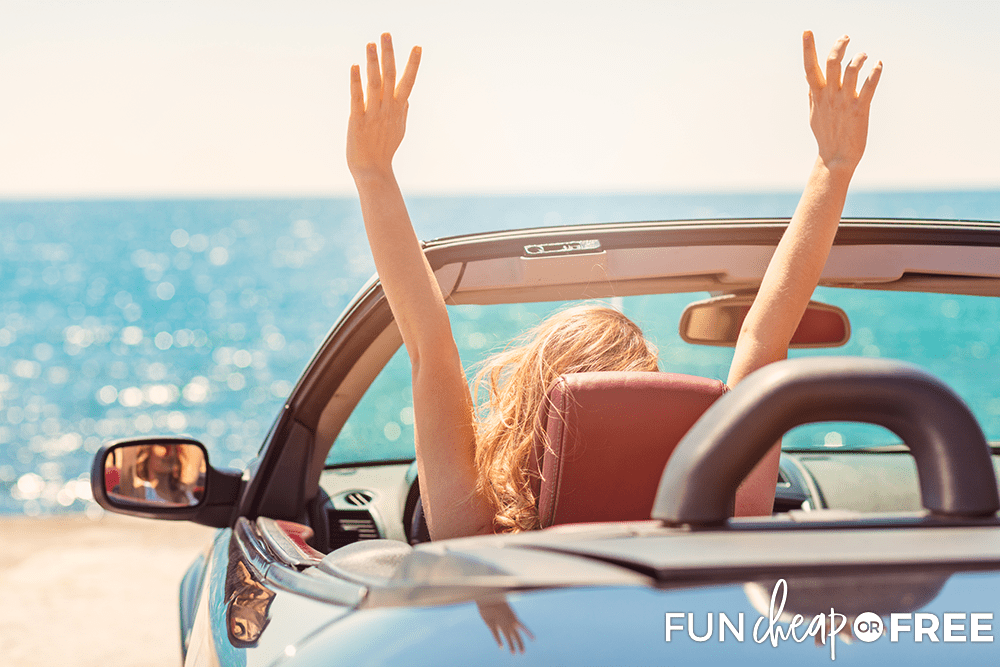 Travel Expenses for Rental Cars from Fun Cheap or Free