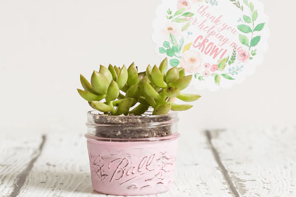 The Turquoise Home Plant Teacher Gift Idea from Fun Cheap or Free