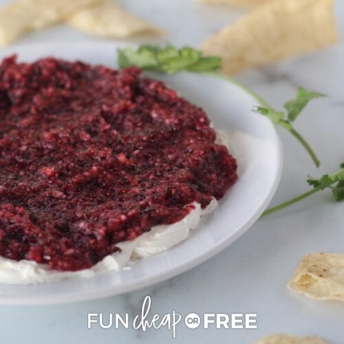Cranberry cream cheese dip on a chip, from Fun Cheap or Free