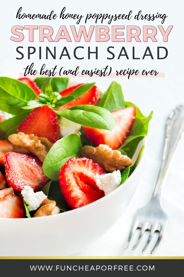 Side salad with homemade honey poppy seed dressing, from Fun Cheap or Free