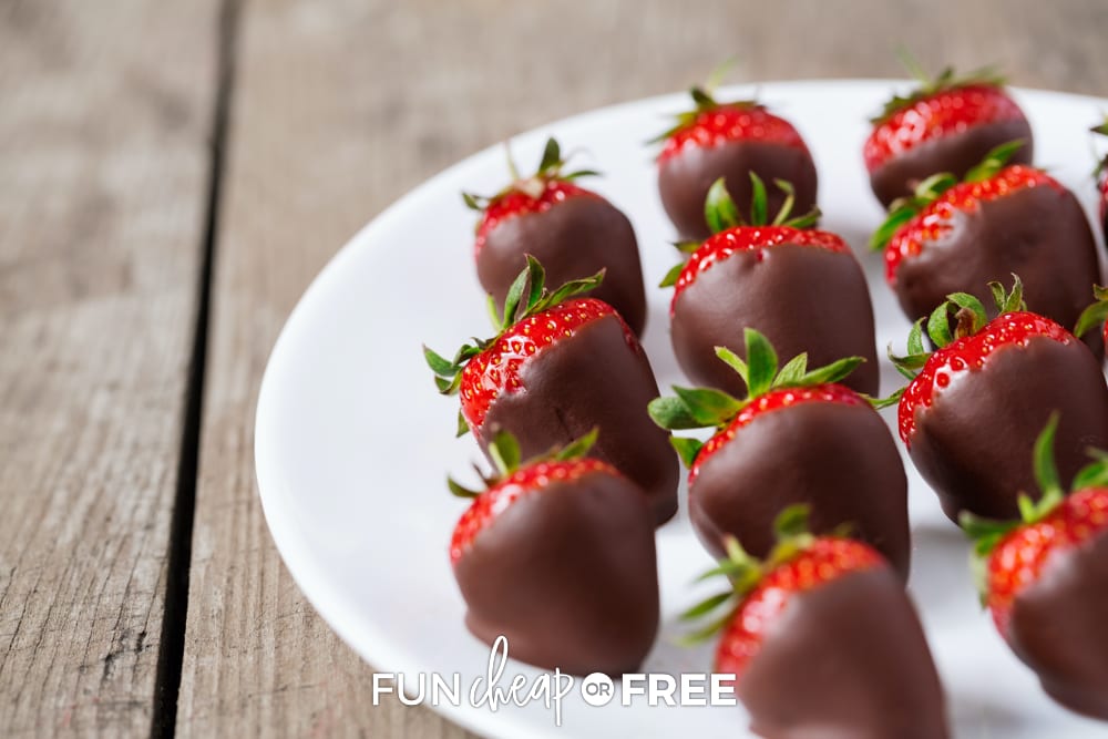 Chocolate covered strawberries on a plate, from Fun Cheap or Free