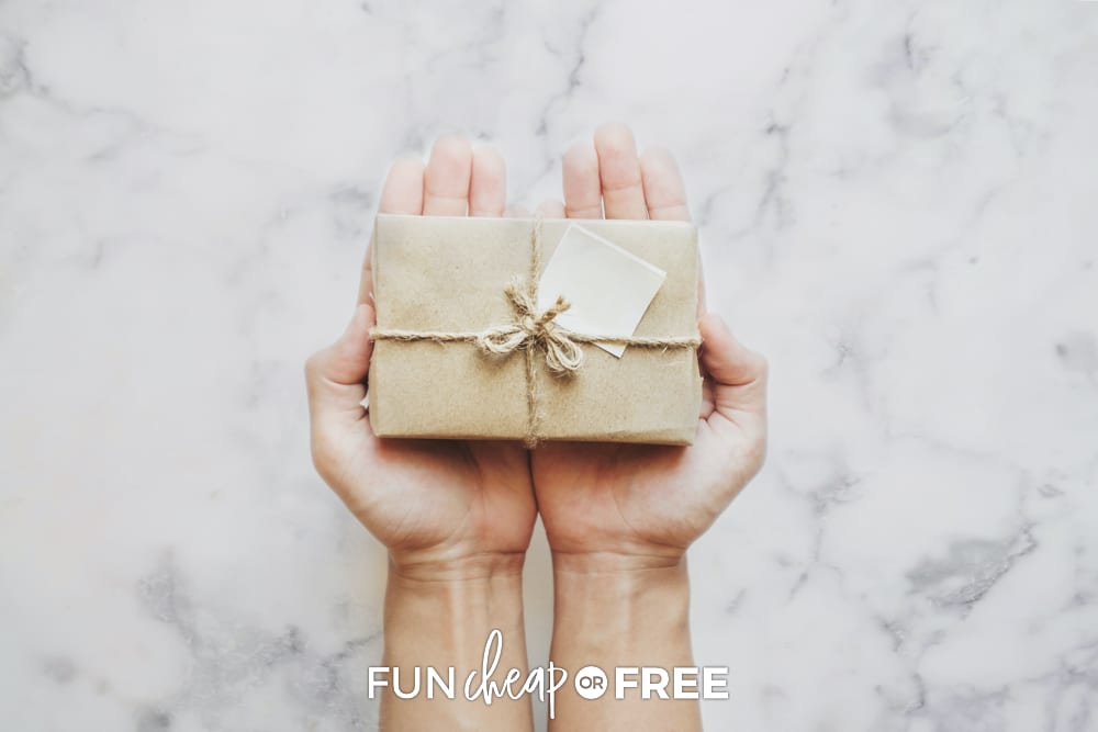 Hands holding a present, from Fun Cheap or Free