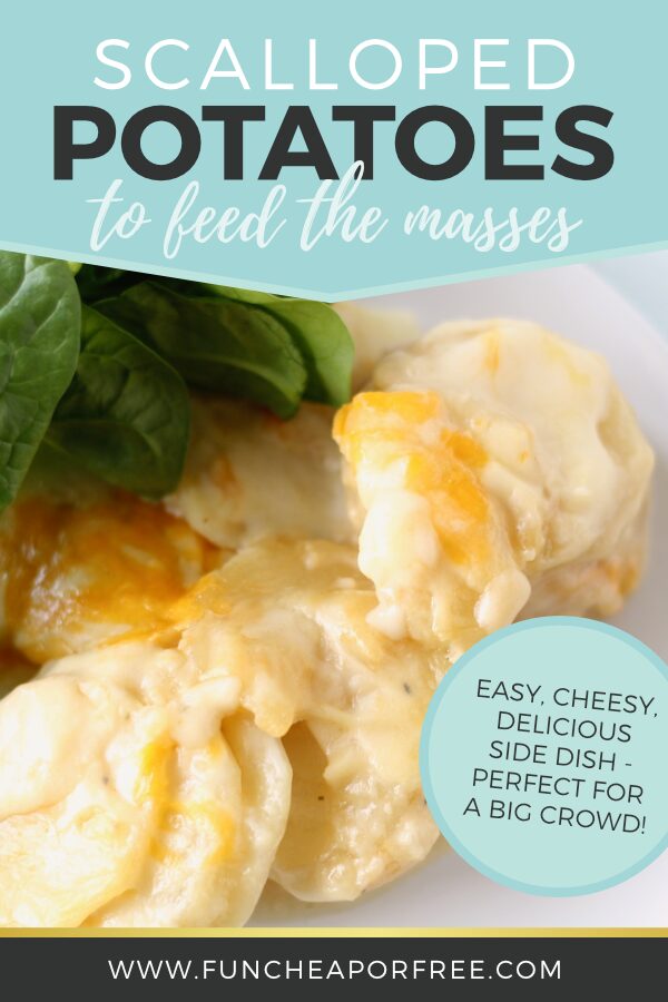 Cheesy scalloped potatoes recipe Pinterest picture, from Fun Cheap or Free