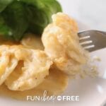 This scalloped potatoes recipe is the perfect way to feed your family with a variety of meals - Tips from Fun Cheap or Free