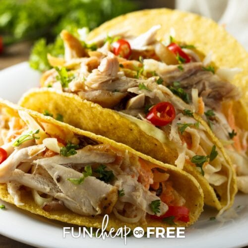 Chicken taco on a plate from Fun Cheap or Free