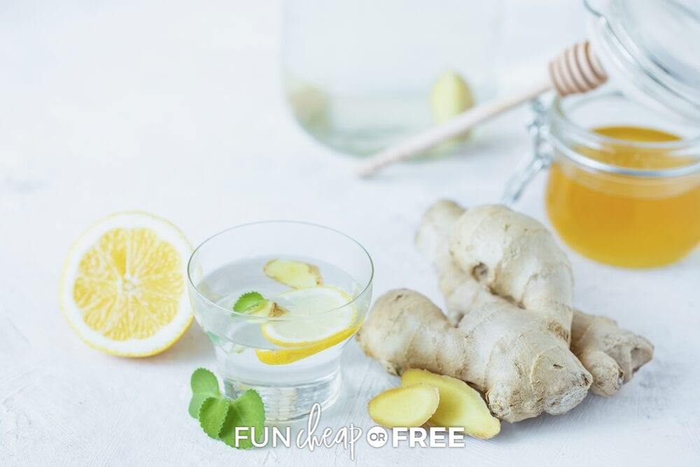 water and ginger root on a counter, from Fun Cheap or Free