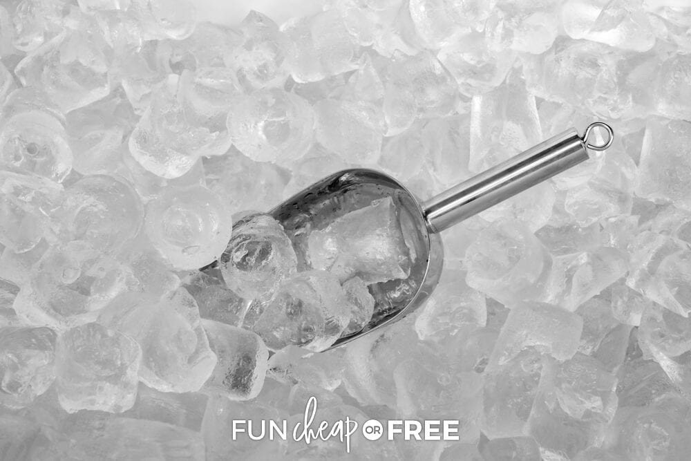 ice bucket with scoop, from Fun Cheap or Free