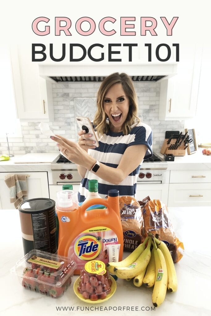 Grocery budget 101 from Fun Cheap or Free!