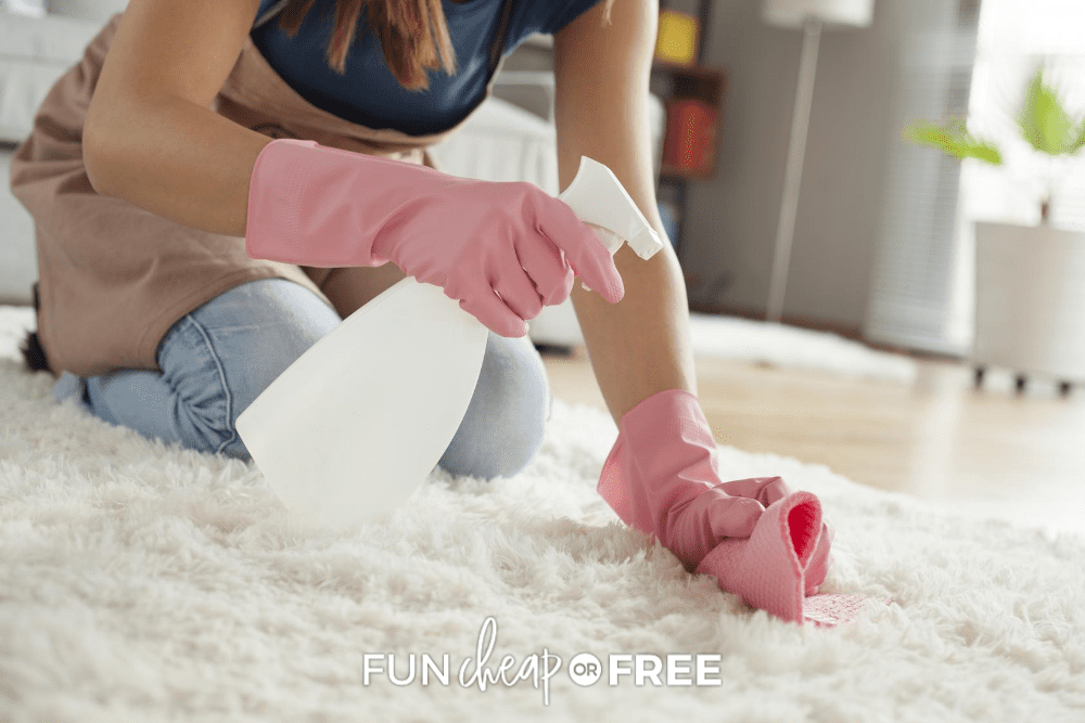 woman wearing pink gloves cleaning white carpet, from Fun Cheap or Free