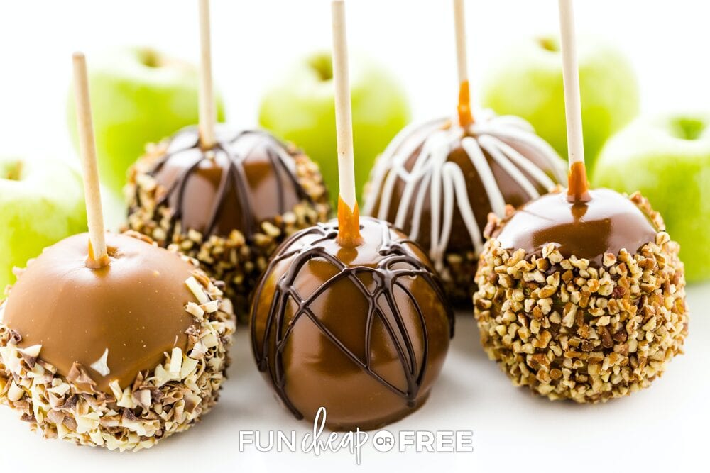 Assorted caramel apples on a stick, from Fun Cheap or Free