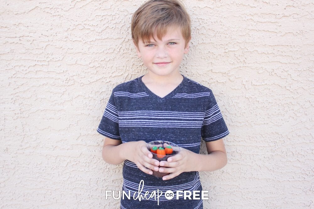 Boy holding pumpkin patch dirt cup, from Fun Cheap or Free