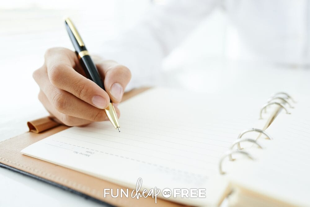 Hand writing financial goals in planner, from Fun Cheap or Free