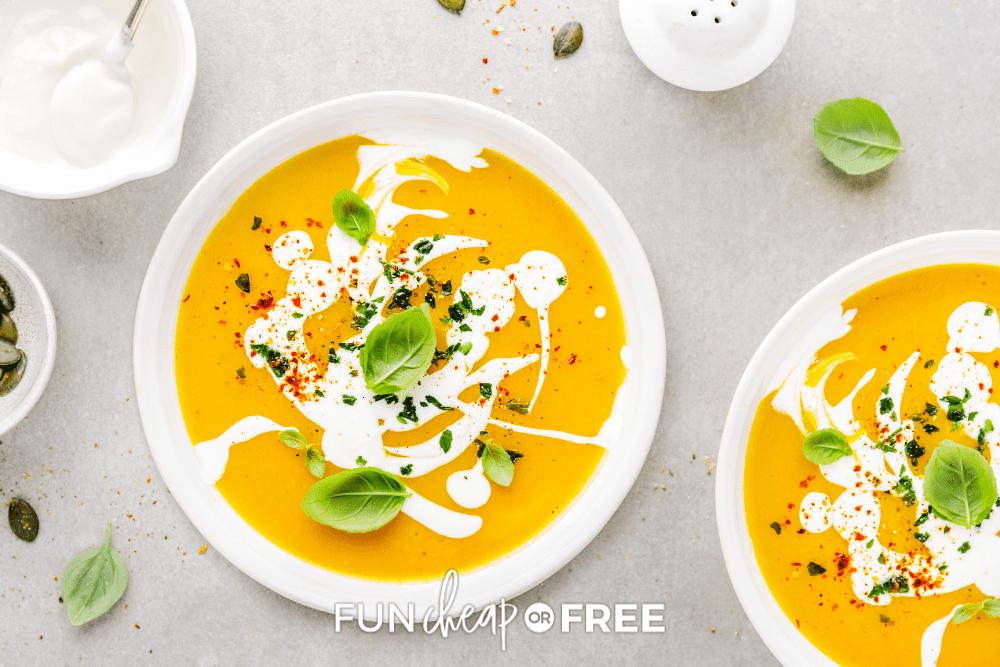 Our Favorite Curried Sweet Potato Soup Recipe!