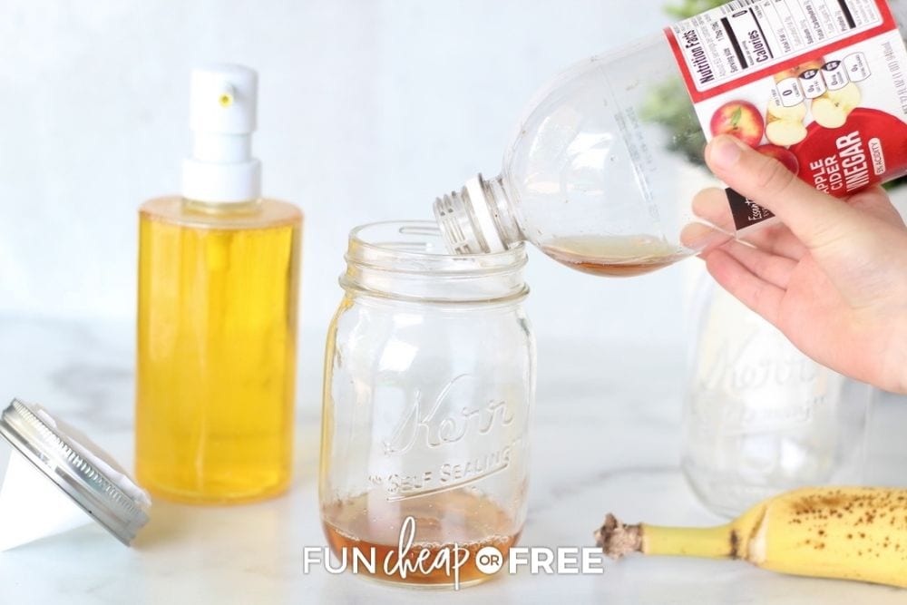 woman making a fruit fly trap, from Fun Cheap or Free