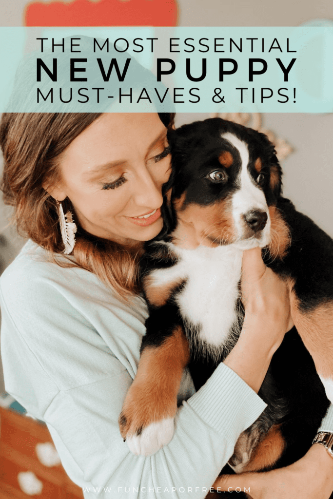 Image with text that reads "new puppy must-haves" from Fun Cheap or Free
