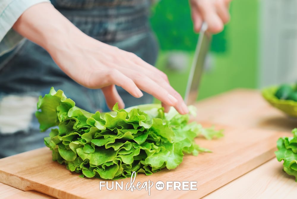 woman chopping lettuce, from Fun Cheap or Free