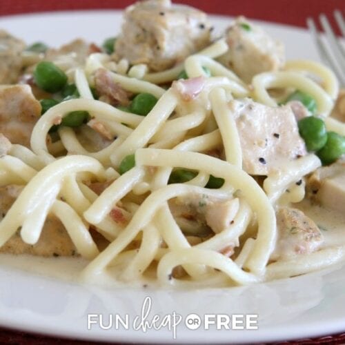 Chicken carbonara on a plate from Fun Cheap or Free.