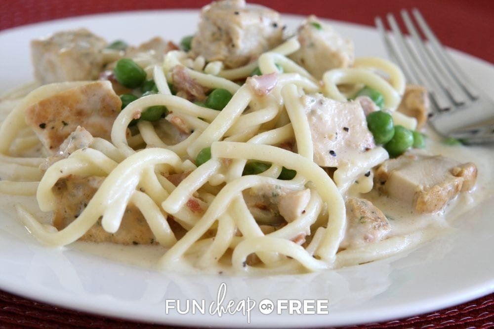Chicken carbonara on a plate from Fun Cheap or Free. 