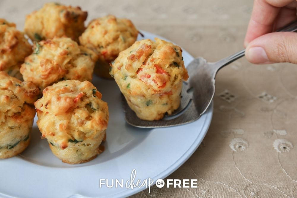 Mini quiche on a plate from Fun Cheap or Free. 